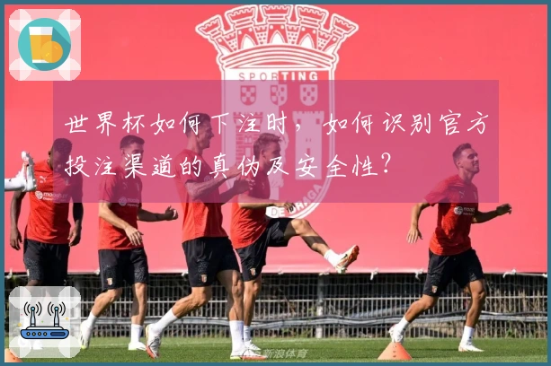 世界杯如何下注时，如何识别官方投注渠道的真伪及安全性？
