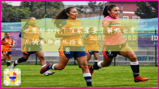 世界杯如何下注前需要了解哪些常见骗局和避坑指南