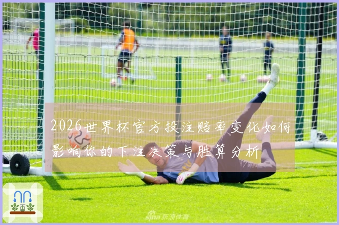 2026世界杯官方投注赔率变化如何影响你的下注决策与胜算分析