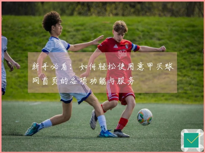 新手必看：如何轻松使用意甲买球网首页的各项功能与服务