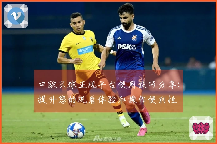 中欧买球正规平台使用技巧分享：提升您的观看体验和操作便利性