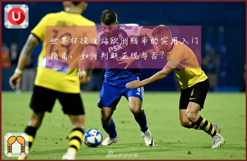 世界杯投注站欧洲赔率的实用入门指南，如何判断正规与否？
