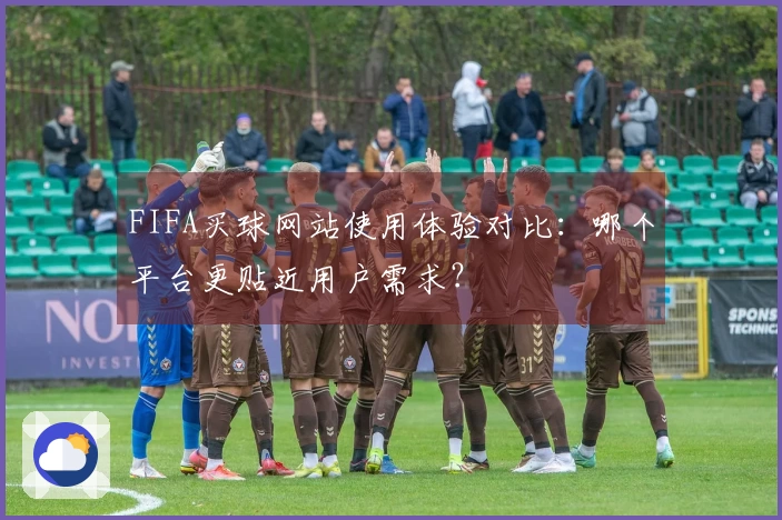 FIFA买球网站使用体验对比：哪个平台更贴近用户需求？