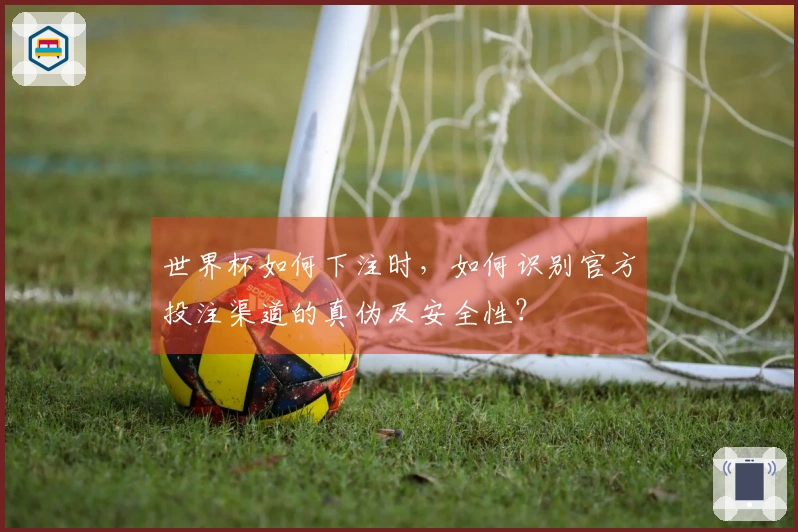 世界杯如何下注时，如何识别官方投注渠道的真伪及安全性？