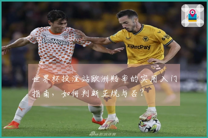 世界杯投注站欧洲赔率的实用入门指南，如何判断正规与否？