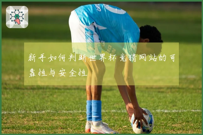 新手如何判断世界杯竞猜网站的可靠性与安全性